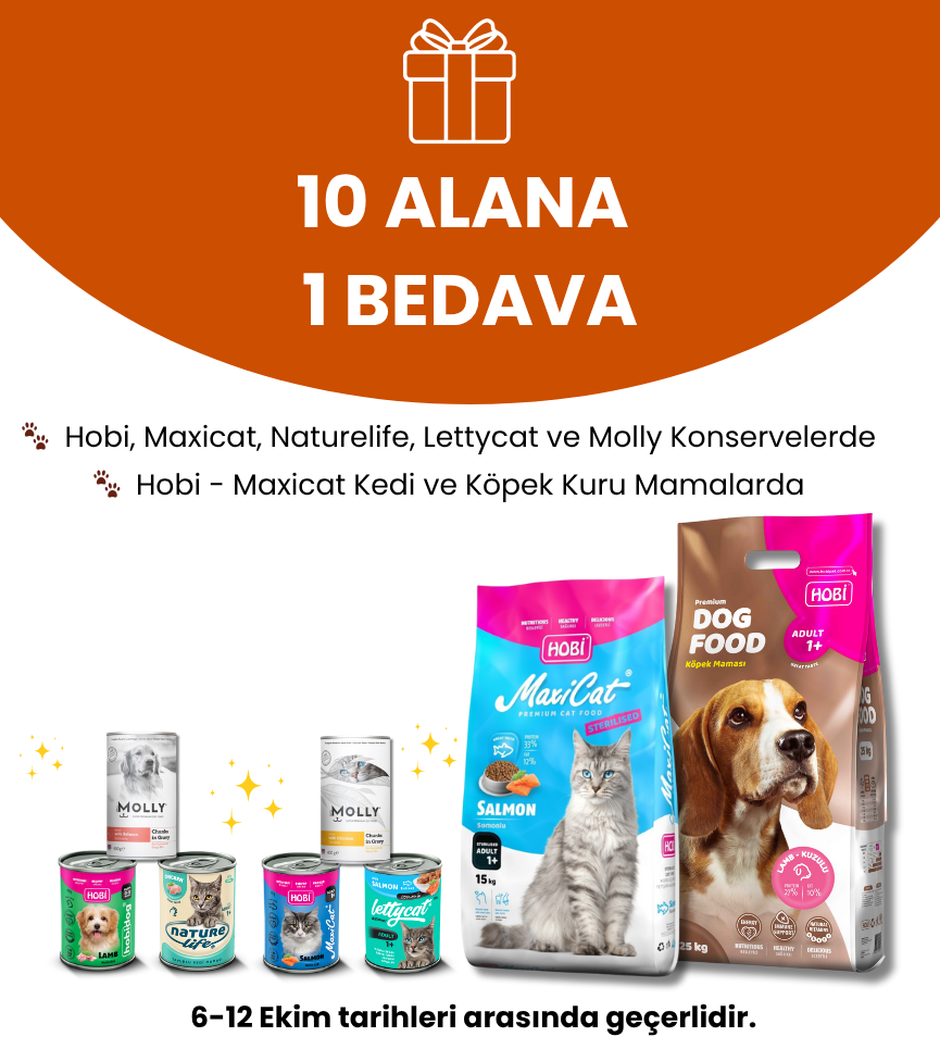 10 alana 1 bedavae.png (503 KB)