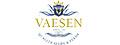 Vaesen