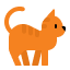 Kedi Ürünleri