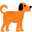 Köpek Ürünleri