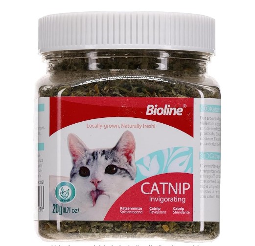 Bioline Catnip Kedi Otu Kavanoz 20 Gr X 6 Adet