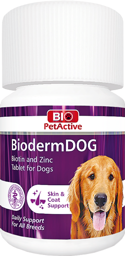 Biopetactive - Biopetactive Bioderm Dog Biotin ve Çinko Tableti 37.5 Gr x 6 Adet