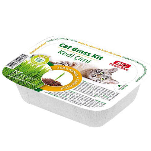Biopetactive - Biopetactive Cat Grass Kit Kedi Çimi 6 Adet