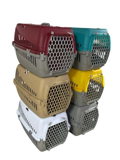 Cans - Cans Renkli Orta Boy Box Platik Taşıma 59x39x37 H