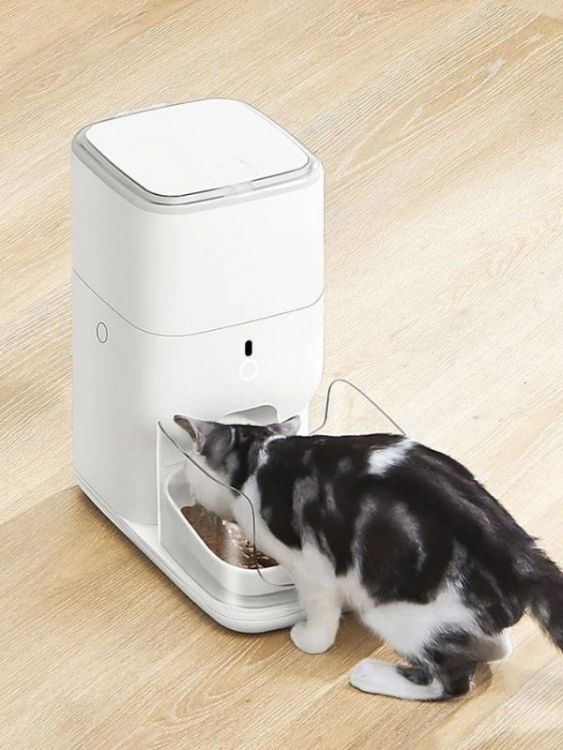 Catlink CL-FD-01 Otomatik Mama Kabı 4 Litre