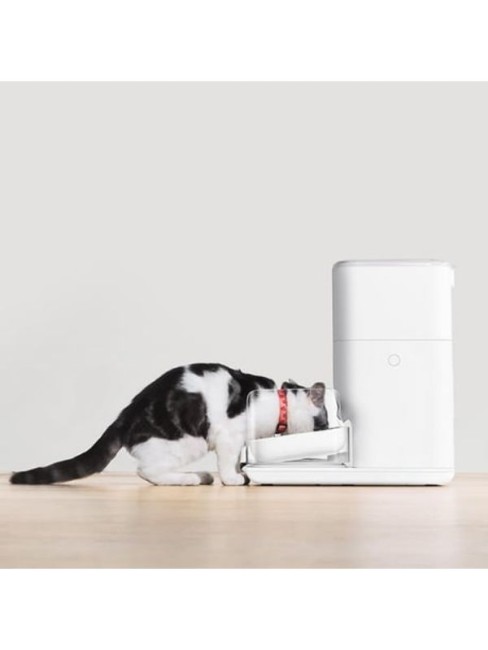Catlink CL-FD-02 Pro Otomatik Mama Kabı 4 Litre - Thumbnail