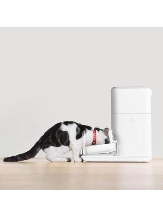 Catlink CL-FD-02 Pro Otomatik Mama Kabı 4 Litre