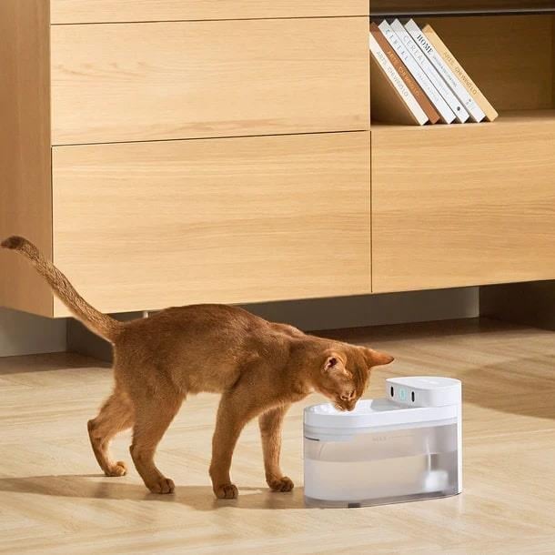 Catlink CL-WB-01 Yapay Zekâlı Kablosuz Otomatik Su Pınarı 2.3 Litre