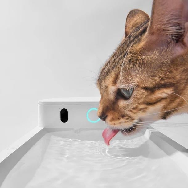 Catlink CL-WB-01 Yapay Zekâlı Kablosuz Otomatik Su Pınarı 2.3 Litre - Thumbnail