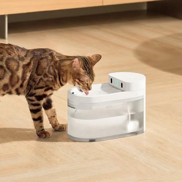 Catlink CL-WB-01 Yapay Zekâlı Kablosuz Otomatik Su Pınarı 2.3 Litre - Thumbnail