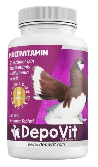 Depovit Multivitamin Tablet 250li