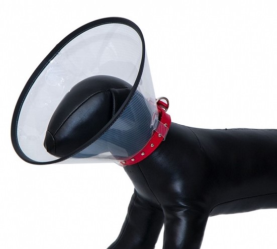 Eastland - Eastland Elizabeth Dayanıklı Yakalık 12.5 Cm