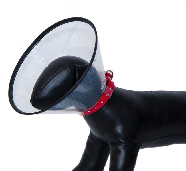 Eastland - Eastland Elizabeth Dayanıklı Yakalık 15 Cm