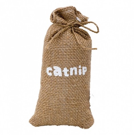 Eastland Kraft Catnip Kedi Oyun Çuvalı 16*8 Cm X 3 Adet