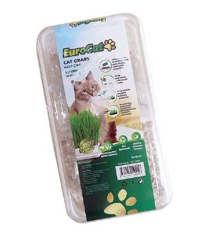 Eurocat - Eurocat Kedi Çimi X 6 Adet