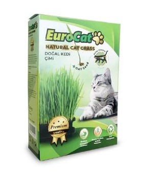 Eurocat - Eurocat Premium Class Kedi Çimi X 6 Adet