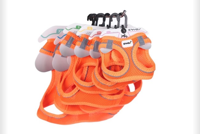 Ewox - Ewox Air Mesh Göğüs Tasması Set Turuncu (3xs-Xl)