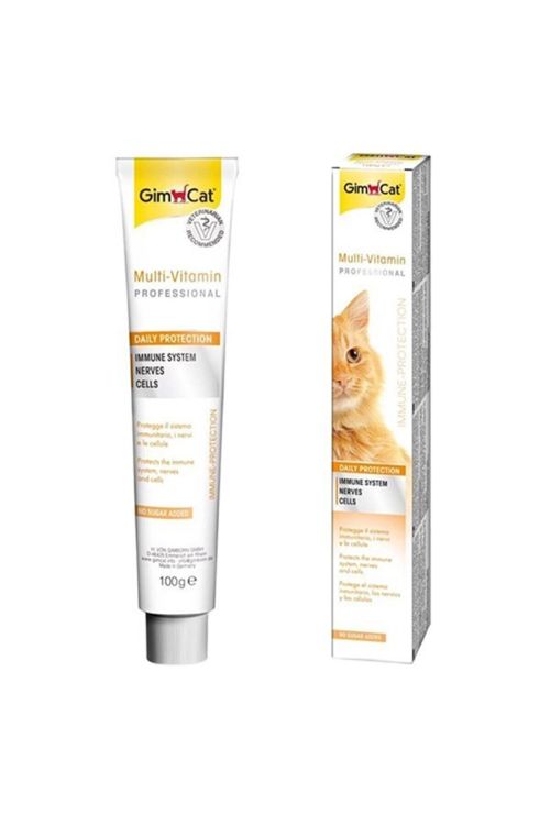 Gimcat Multivitamin Paste 100 Gr