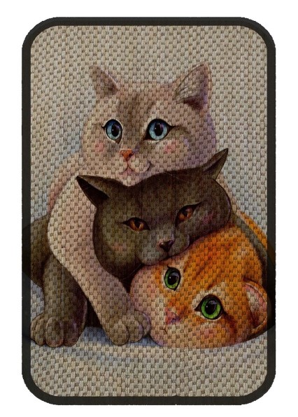 Glipet - Glipet Kedi Tırmalama Paspası