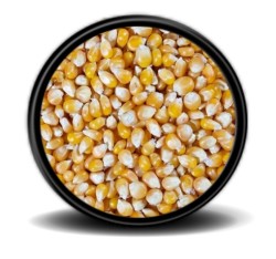 Hobi - Hobi Cin Mısır 25 Kg