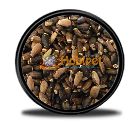 Hobi - Hobi Deve Dikeni 5 Kg