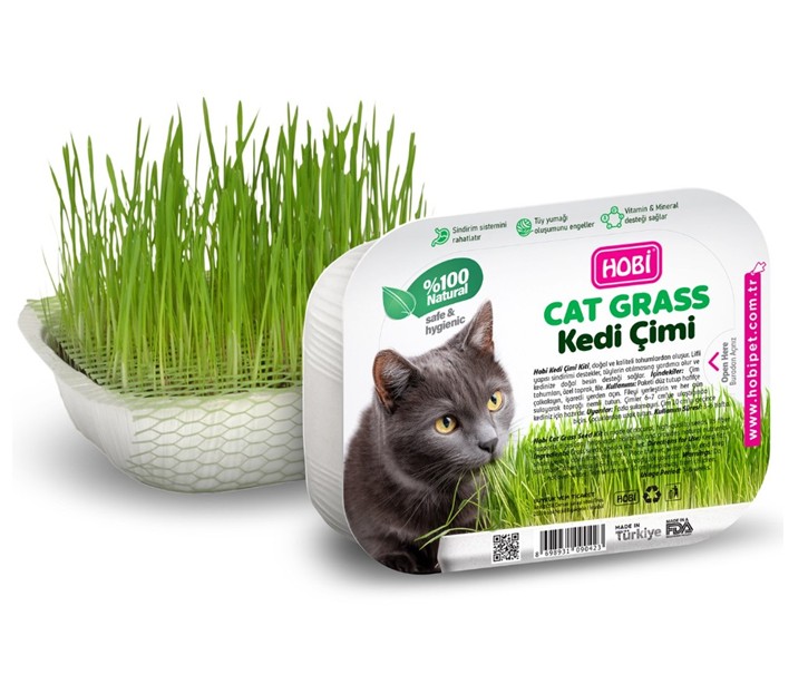 Hobi Fileli Kedi Çimi Cat Grass Ekonomik Hobi Fileli Kedi Çimi Cat Grass Ekonomik