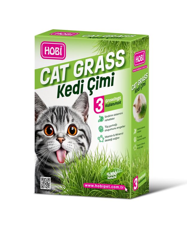 Hobi Kedi Çimi – Cat Grass (3 Kullanımlık)