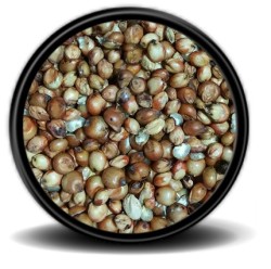 Hobi - Hobi Kızıl Sorgum 25 Kg