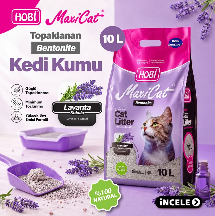 Hobi Maxicat Lavanta Kokulu Bentonit Kedi Kumu 10 Litre