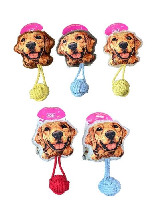 Hobi Pet Toys Golden Figürlü Zilli Kedi & Köpek Oyuncağı RD1060 5’li Paket