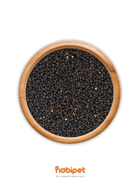 Hobi - Hobi Rapiska (Kanola) Tohumu 10kg