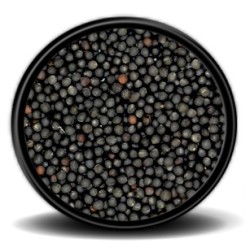 Hobi - Hobi Rapiska (Kanola) Tohumu 10kg