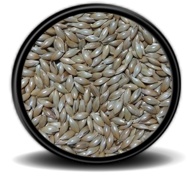 Hobi Sade Kanarya Yemi Aspur 20 kg - Thumbnail