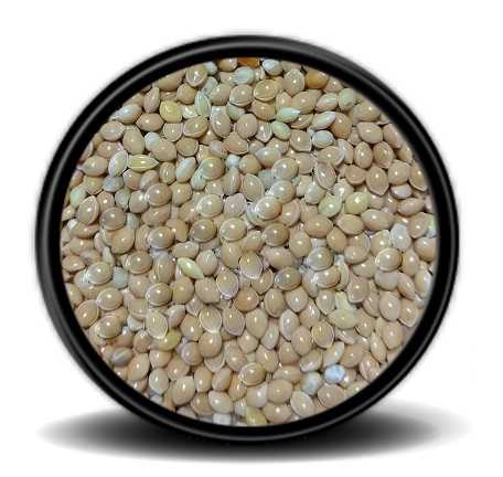 Hobi Sarı Darı 20 Kg