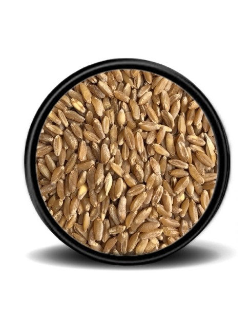 Hobi - Hobi Sert Buğday 25 kg