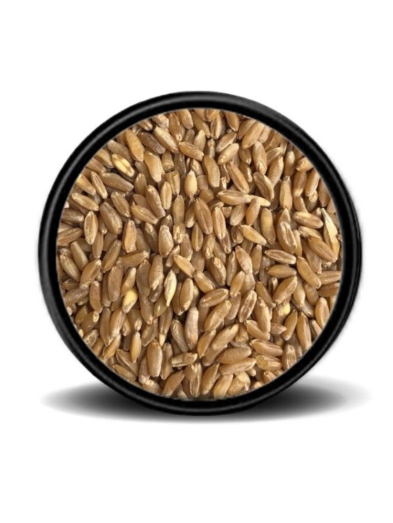 Hobi Sert Buğday 25 kg