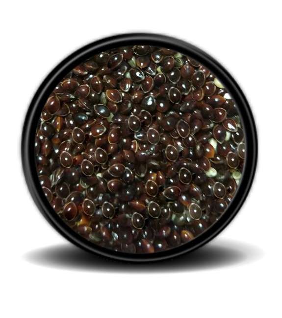 Hobi - Hobi Siyah Darı 10kg