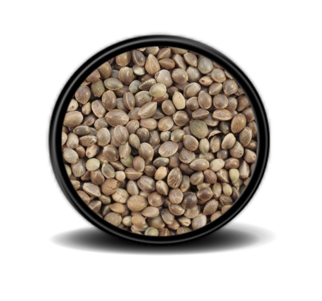 Hobi - Hobi Ufak Kenevir Tohumu 10 Kg