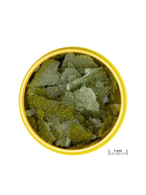 JBL Pronovo Spirulina Flakes M Pul Balık Yemi 5.5 L - Thumbnail