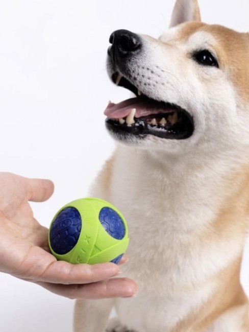 ​Joyser Jys-7106 Netrix Top Köpek Oyuncağı Yeşil-Mavi - Thumbnail