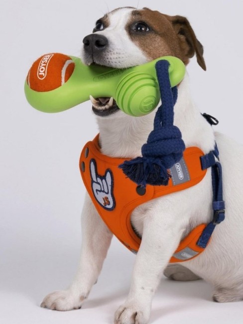 Joyser Jys-7147 Halatlı Kauçuk Toplu Köpek Oyuncağı Yeşil - Thumbnail