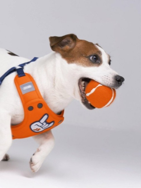Joyser Jys-7147 Halatlı Kauçuk Toplu Köpek Oyuncağı Yeşil - Thumbnail