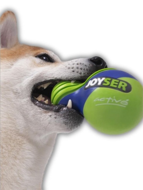 Joyser JYS-7167 Active Duo Ball Kauçuk Köpek Oyuncak Top Yeşil-Lacivert - Thumbnail