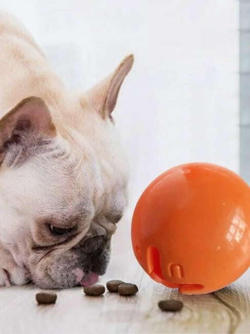 Joyser Plus Jys-7131 Kauçuk Top Köpek Oyuncağı Turucu - Thumbnail