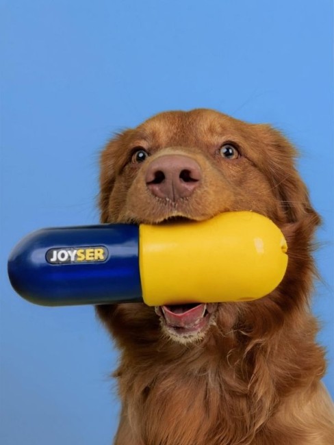 Joyser Plus Jys-7133 Kauçuk Hap Şeklinde Köpek Oyuncağı Sarı-Lacivert - Thumbnail