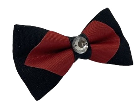 Jr. Gentleman - Jr. Gentleman Kediler İçin Papyon X 5 Adet