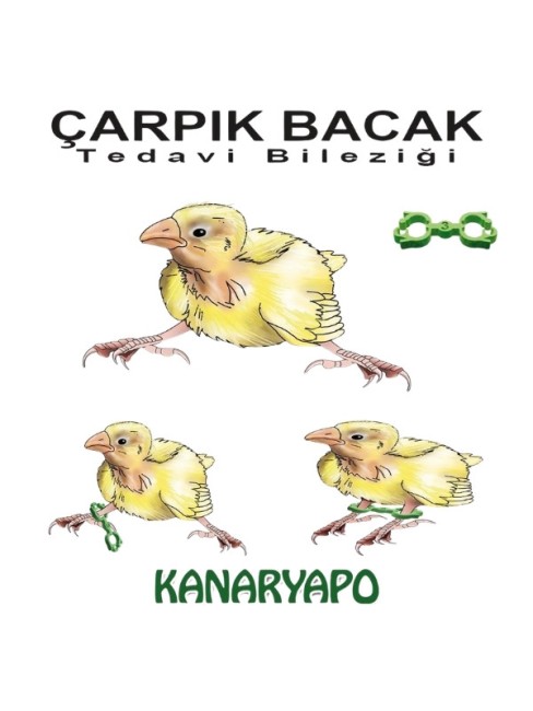Kanaryapo Kanarya Kuşları İçin Çarpık Bacak Tedavi Bileziği 10’lu Set - Thumbnail