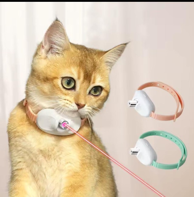 Madpet Evcil Hayvan Lazerli Boyun Tasması (MAD-363) - Thumbnail