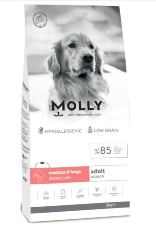 Molly Medium Large Adult Somonlu Yetişkin Köpek Maması 2 Kg