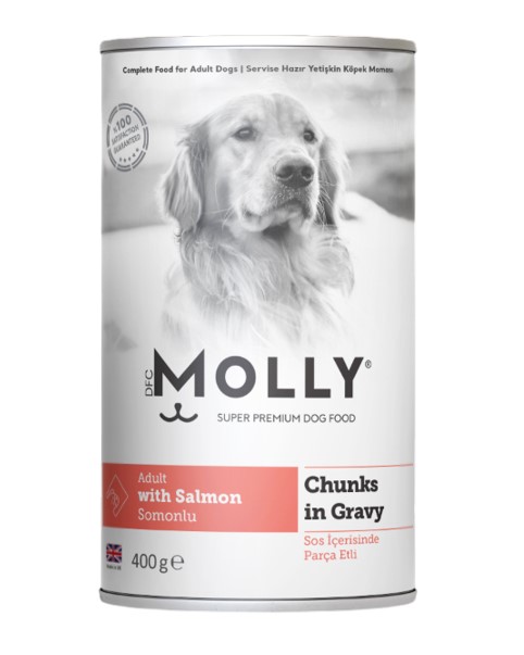 Molly - Molly Somonlu Gravy Soslu Yetişkin Köpek Konservesi 400 Gr X 12 Adet